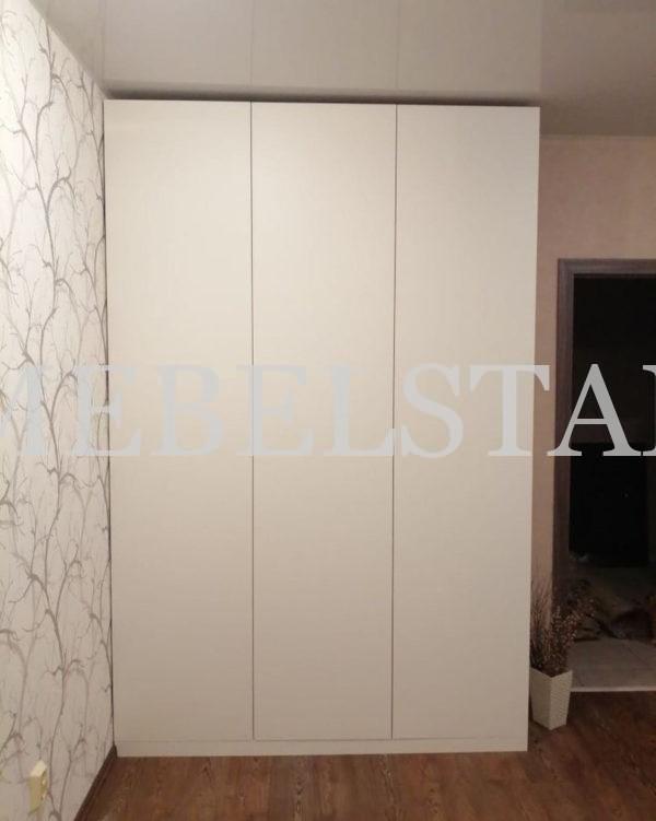 Распашной шкаф в стиле минимализм цвета Белый / Белый (3 двери)