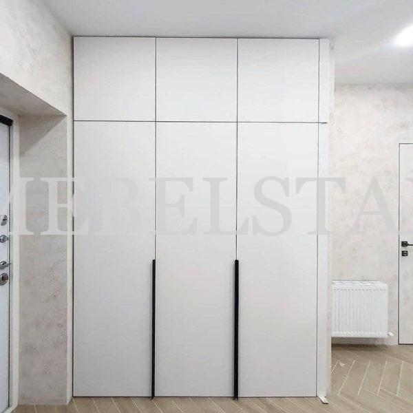 Шкаф с крашеными фасадами в стиле минимализм цвета Белый / Белый (3 двери)