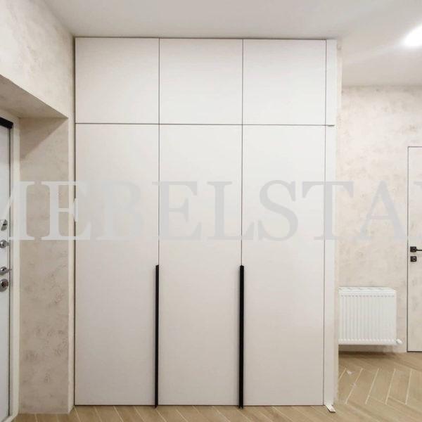 Распашной шкаф в стиле минимализм цвета Белый / Белый (3 двери)