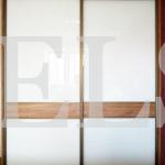 Шкаф-купе в стиле хай-тек цвета Белый, Дуб сонома / Белый, Дуб сонома (2 двери) Фото 2