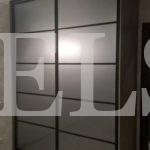 Стеклянный шкаф в стиле минимализм цвета Туя темная / Серый телеком (2 двери) Фото 1