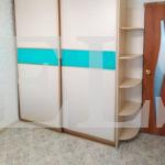 Шкаф с фасадами ЛДСП в стиле хай-тек цвета Перламутр / Бирюзовый, Перламутр (2 двери) Фото 3