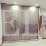 Шкаф с пескоструйным рисунком в стиле хай-тек цвета Пикар / Серебро (2 двери) Фото 1