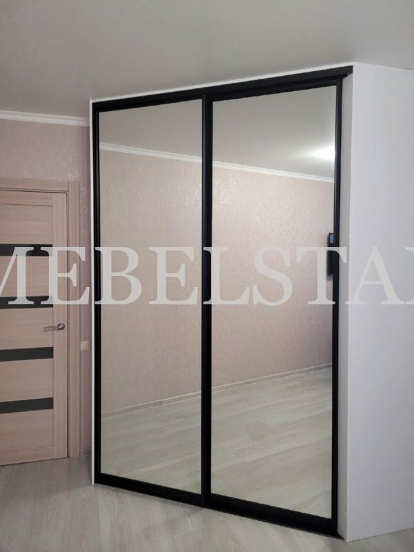 Встраиваемый шкаф в классическом стиле цвета Белый базовый / Зеркало (2 двери)