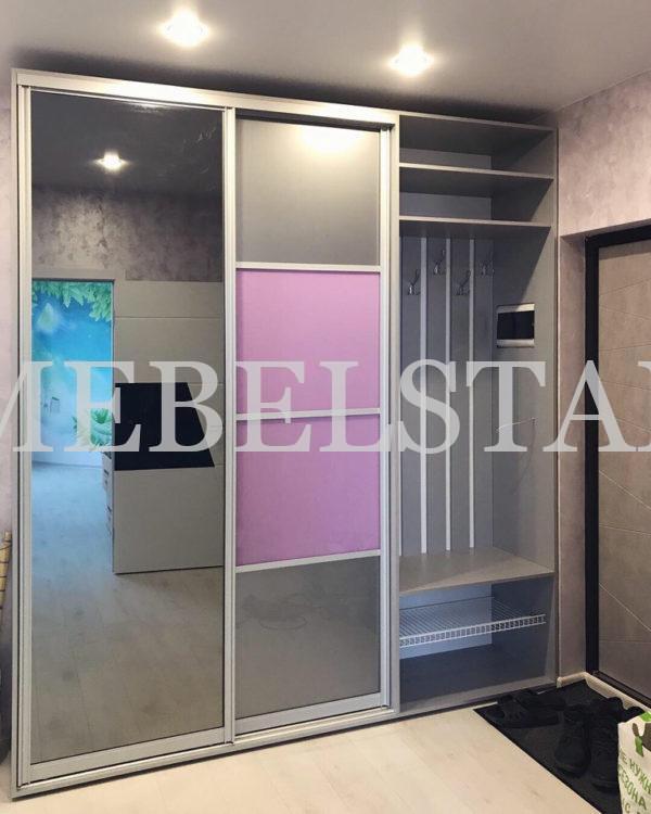 Шкаф в прихожую цвета Серый / Светло-розовый, Серебро (2 двери)